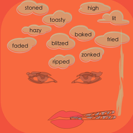 VOCABULARY 11