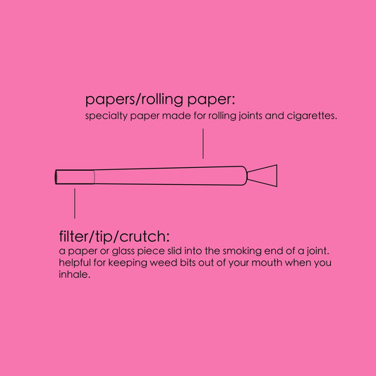 ANATOMY OF A JOINT