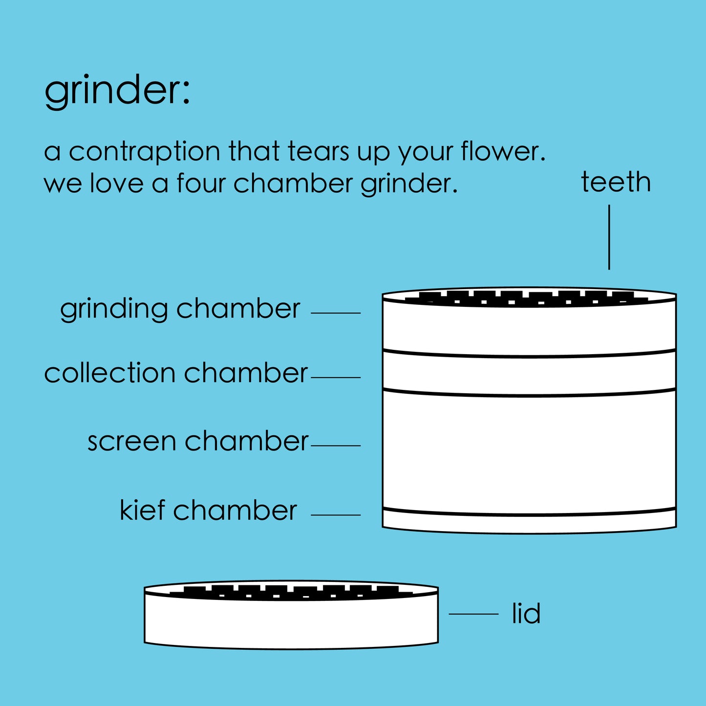 anatomy of a grinder